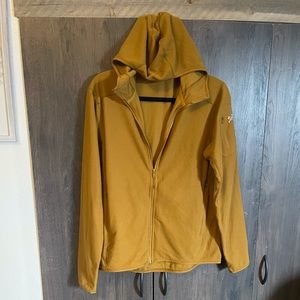 Arcteryx delta lt hoodie
